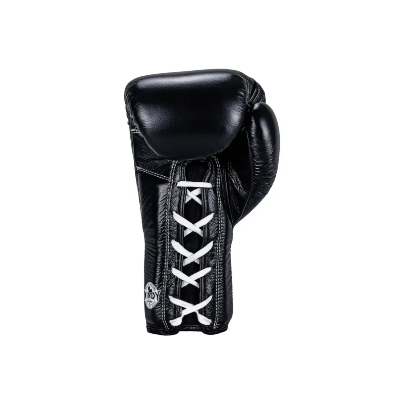 Windy Pro Boxing Gloves back view