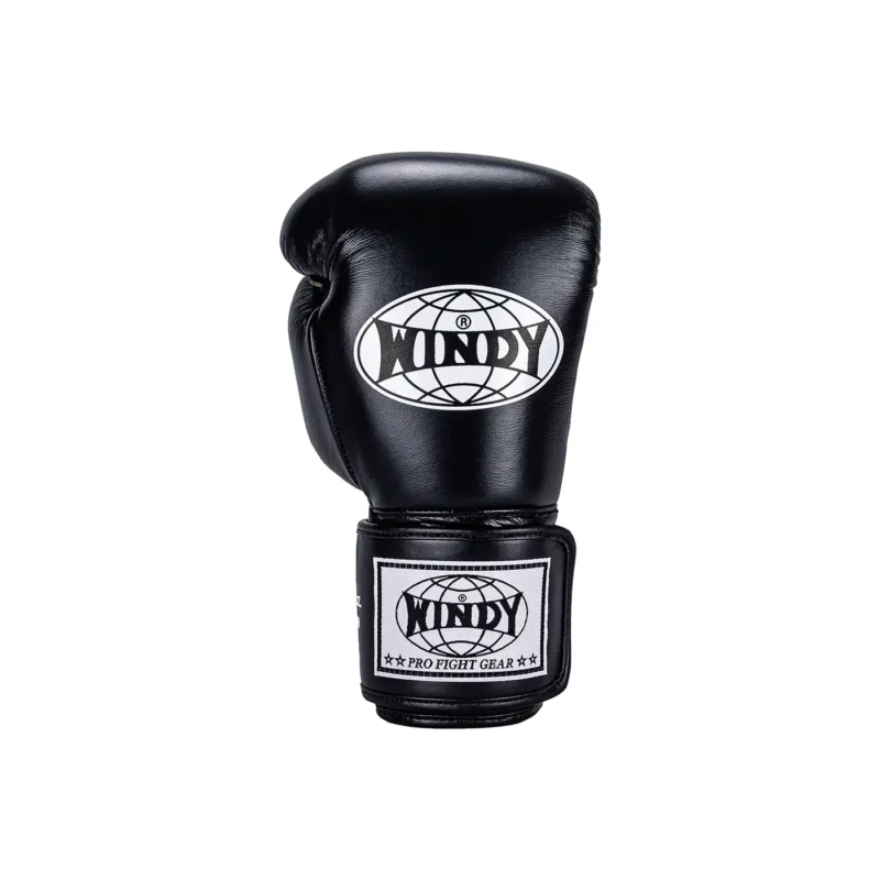 Windy Kickboxing Gloves front view