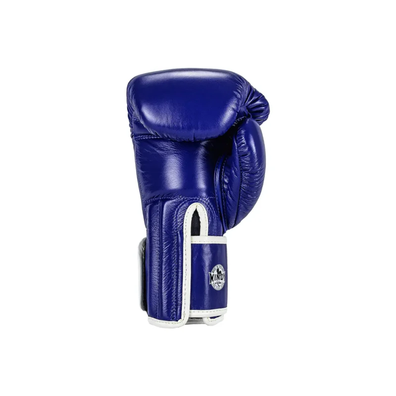 Windy Muay Thai Gloves Blue back view