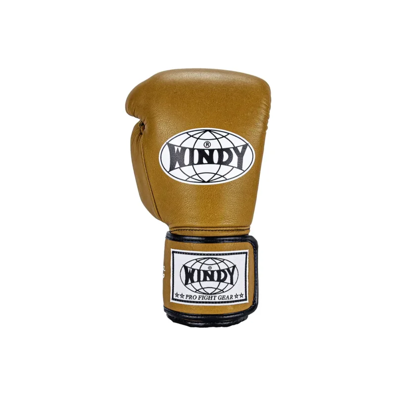 Windy Muay Thai Gloves Proline front view