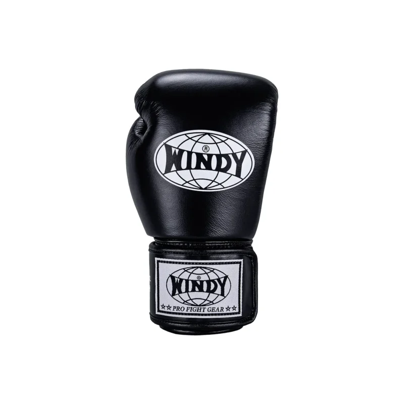 Windy Boxing Gloves BGVH Black front view