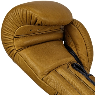 Windy proline boxing gloves