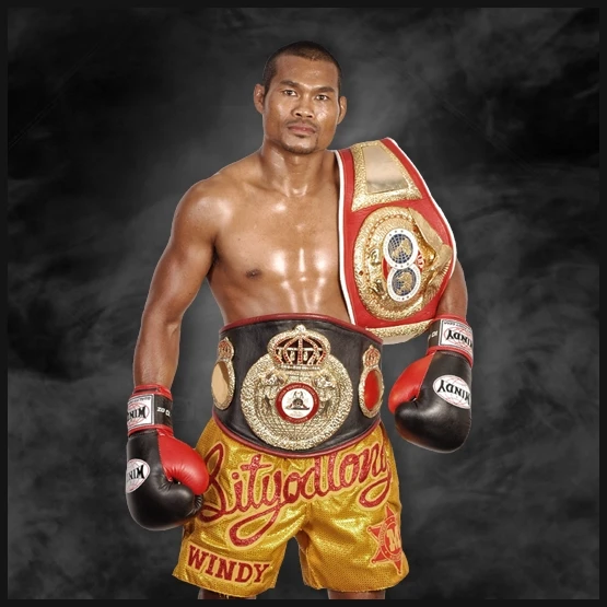 Windy Boxing Equipment