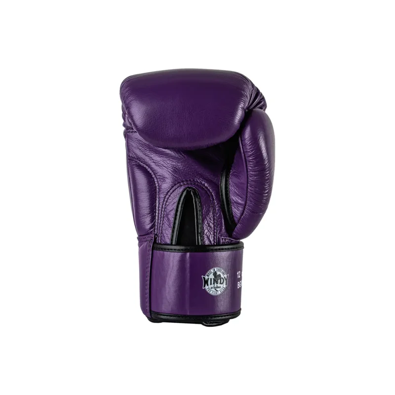 Windy Boxing Glove Back View