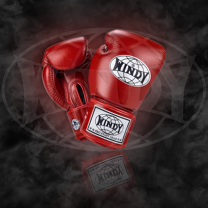 Windy Boxing Gloves Display