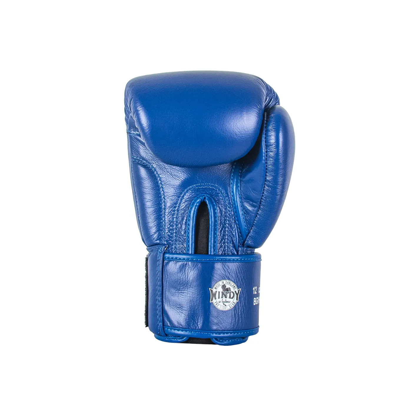 Windy Boxing Gloves Blue - back side