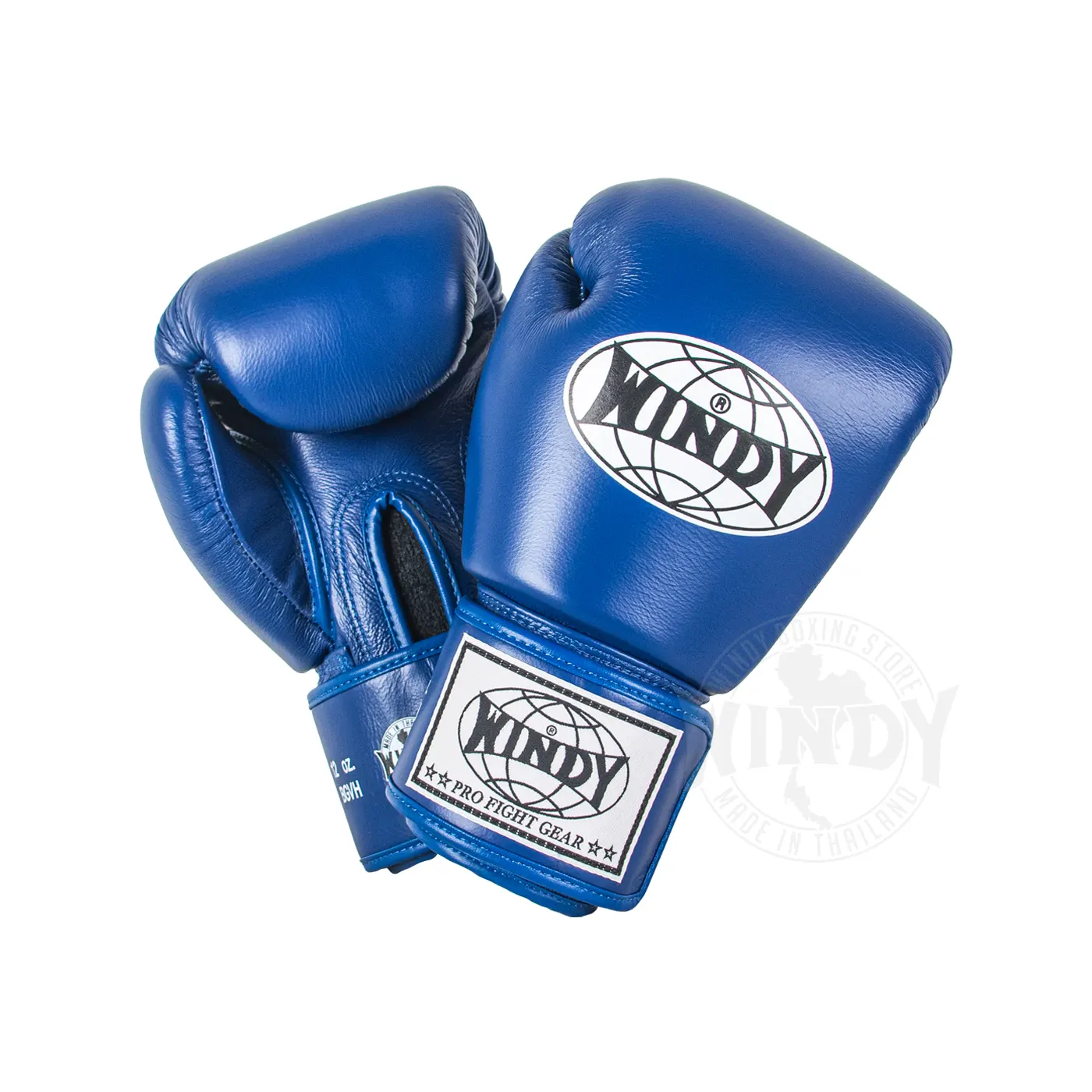 Windy Boxing Gloves Blue